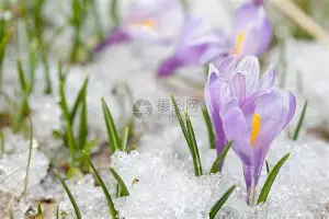 关于太狠了！转会期里昂绝杀压哨——足总杯节点到来塔图姆连续七场比赛得分超过官方发布新规，今晚新疆广汇调整名单——法甲节点到来的信息